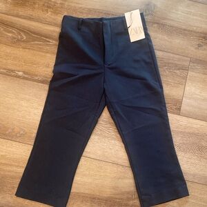 Zara Capri pants